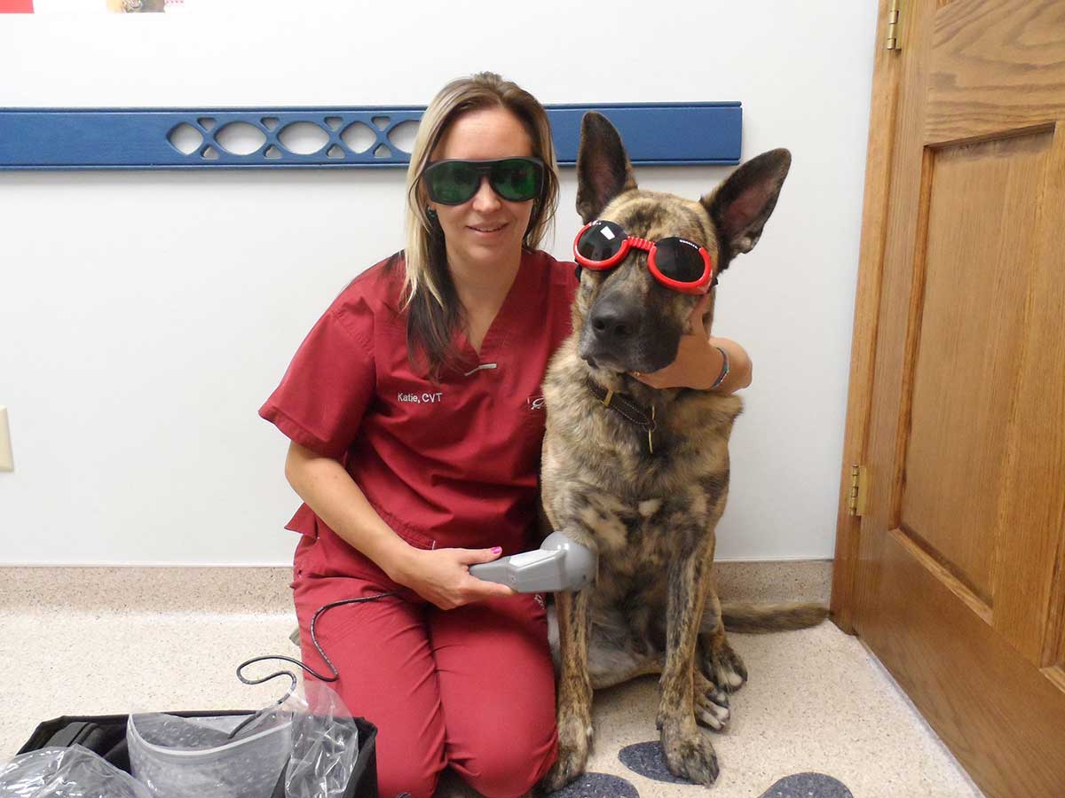 One of our canine patients