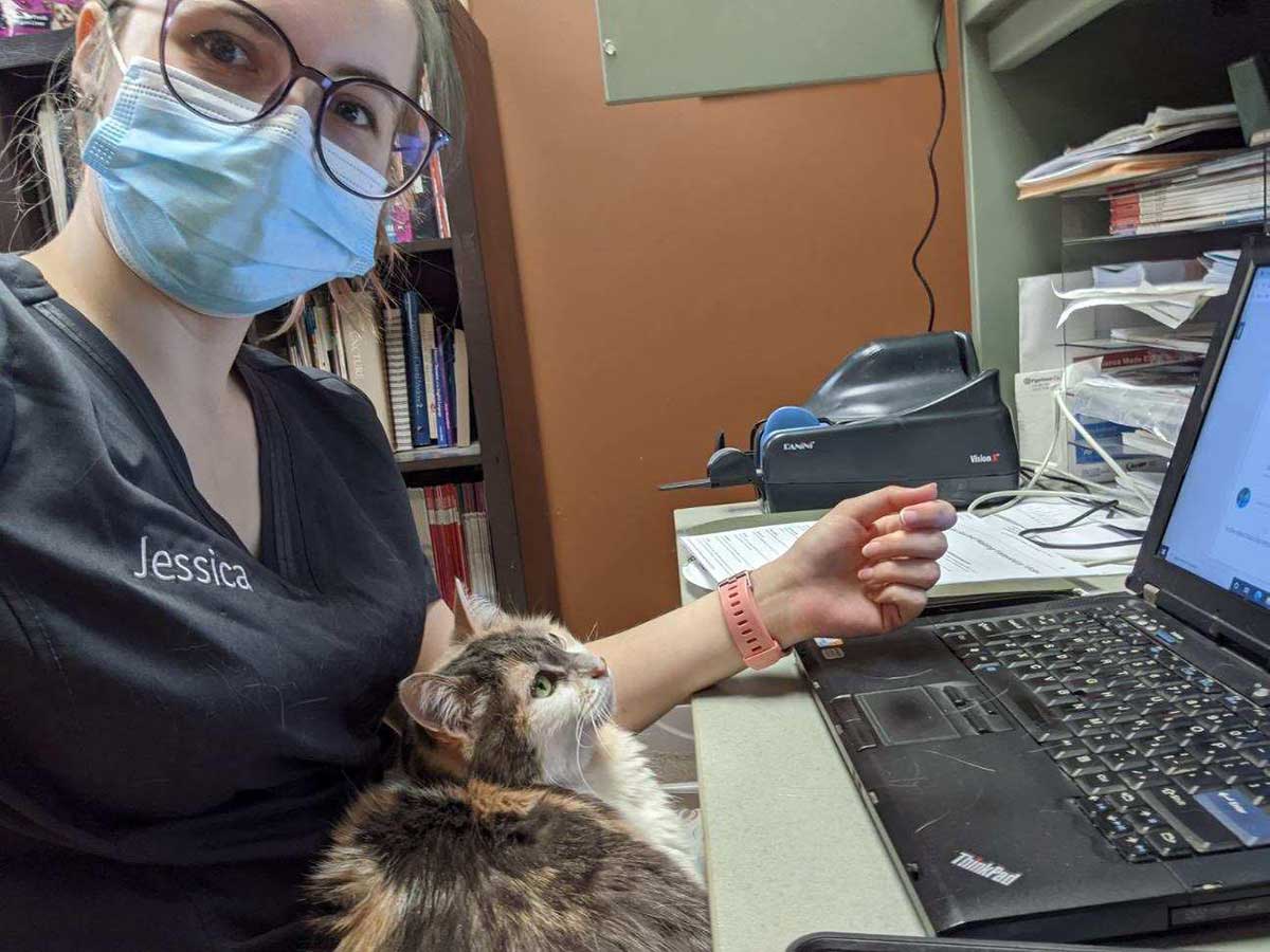 Our tech and a cat patient
