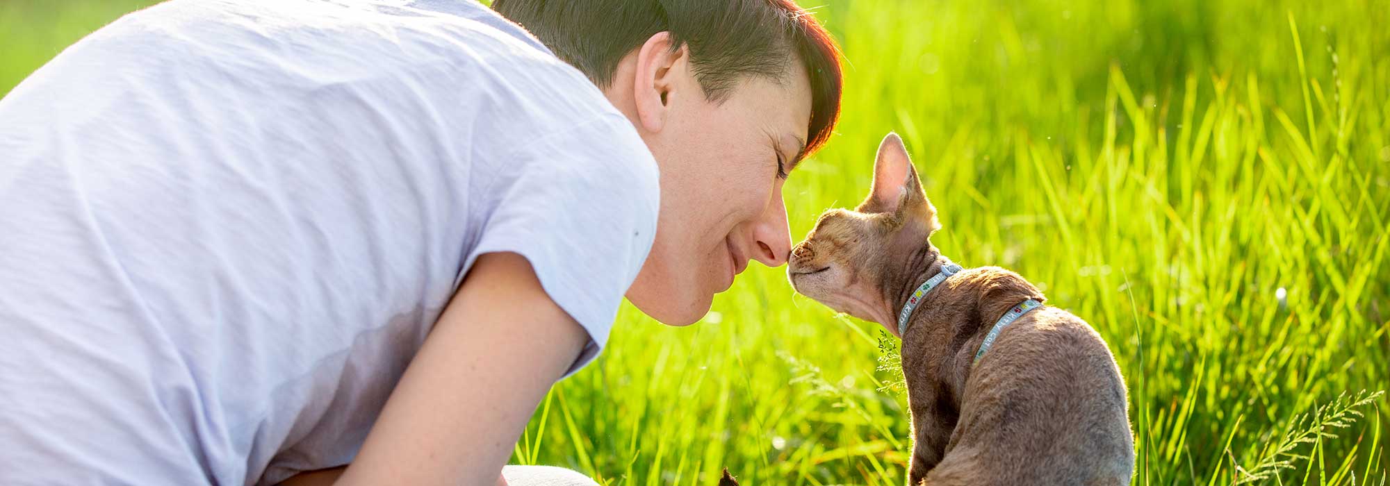 Holistic Veterinary Medicine In Redwing MN The Bluffs Pet Clinic